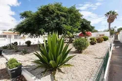 Casa Ivana Lejlighed