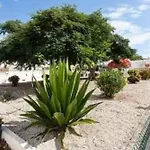 Casa Ivana Apartman